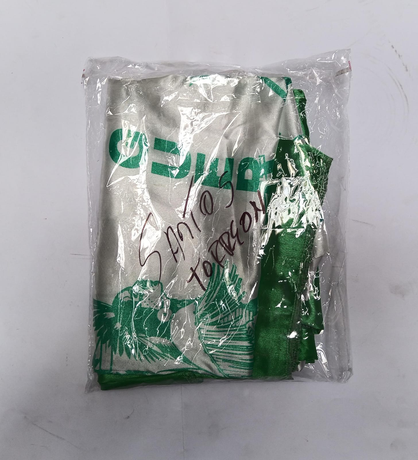 Bandera Santos Laguna